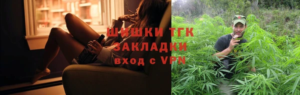 мдпв Богородск