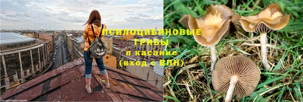 трава Богданович