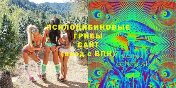 мдпв Богородск