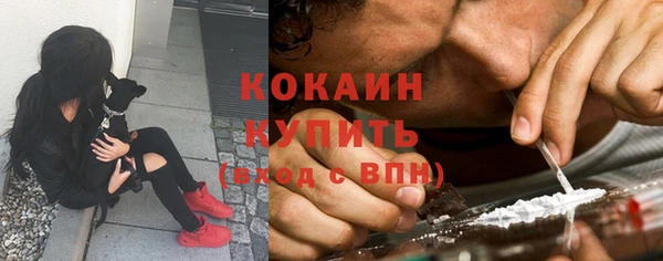 трава Богданович